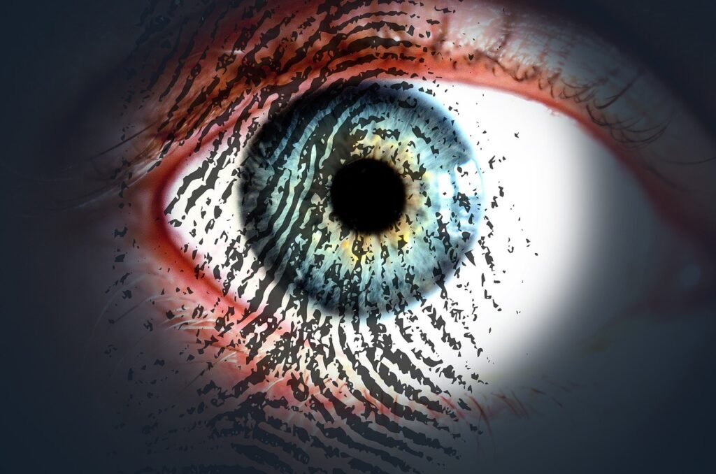eye, fingerprint, eye scan